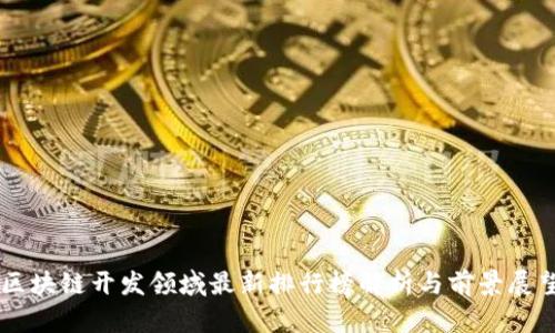 区块链开发领域最新排行榜解析与前景展望