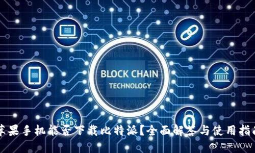 苹果手机能否下载比特派？全面解答与使用指南