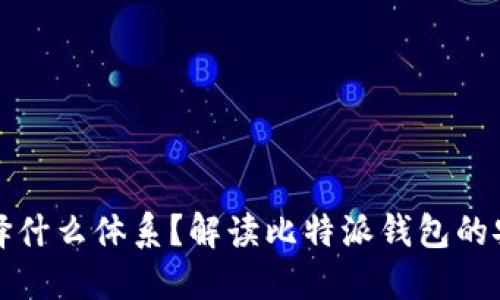 比特派钱包选择什么体系？解读比特派钱包的安全性与功能性