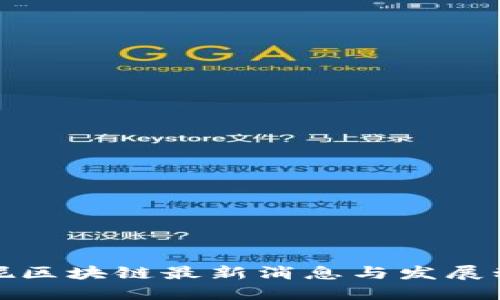 安妮区块链最新消息与发展动态